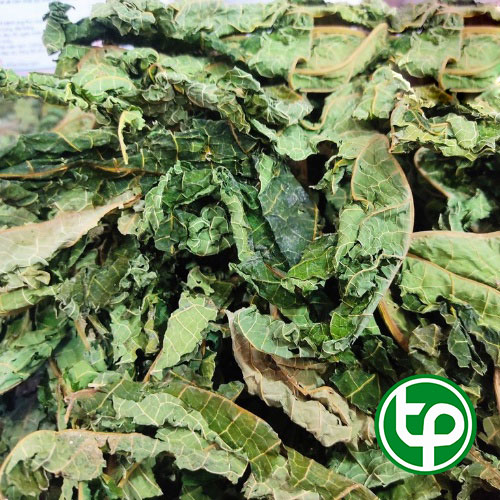 [Túi lớn loại 1kg]Lá đu đủ sấy khô - Hàng công ty chất lượng cao - Hỗ trợ cải thiện sức khỏe làn da của bạn - Thảo Dược Tấn Phát