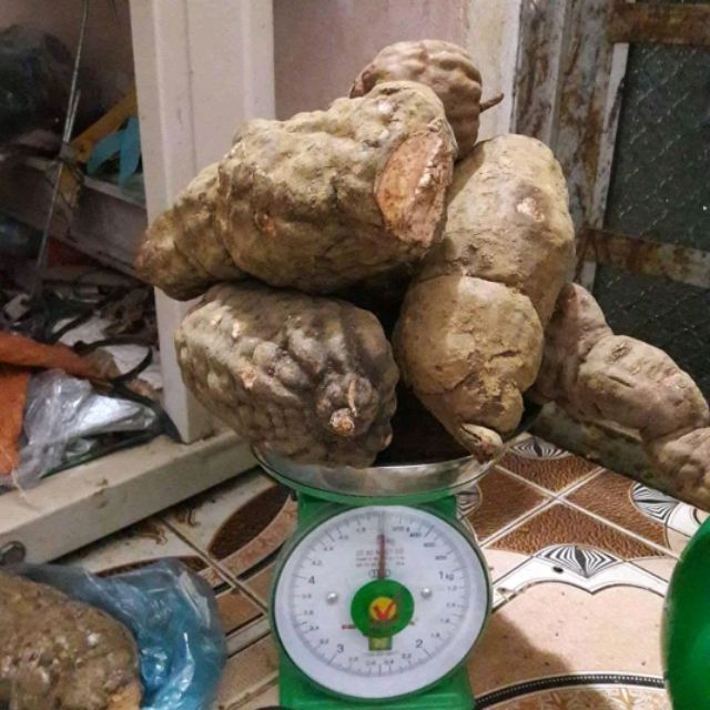 combo 2kg hà thủ ô đỏ tươi