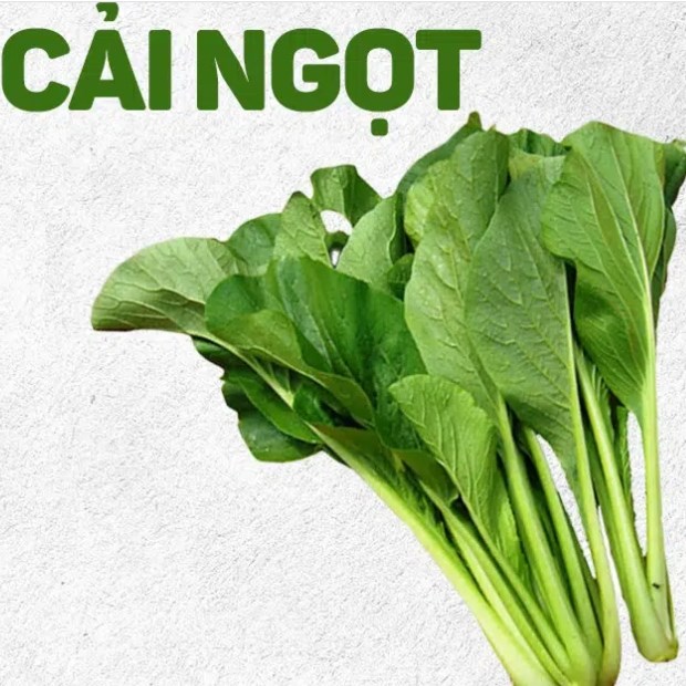 Hạt giống cải ngọt cao sản nẩy mầm nhanh