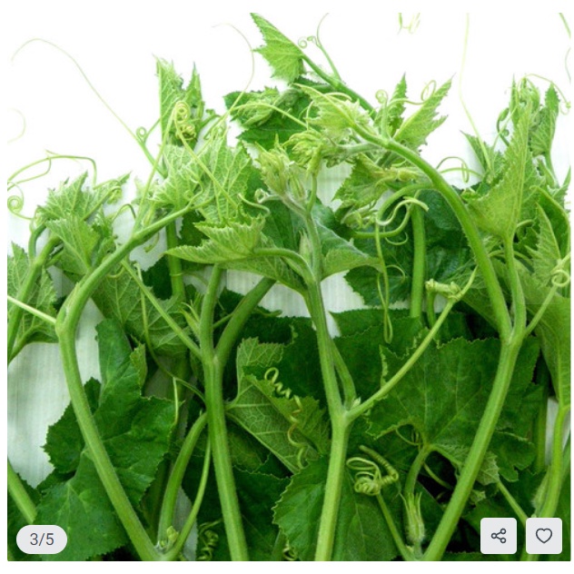 Gói 20g hạt giống bí siêu ngọn cao sản