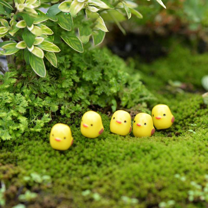 Gà mini - Phụ kiện terrarium Vườn sen đá