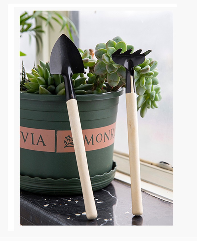 ⚡⚡ [SALE GIÁ RẺ] Bộ Xẻng Cào Mini trồng cây cảnh 3 Món (21cm) FUNO