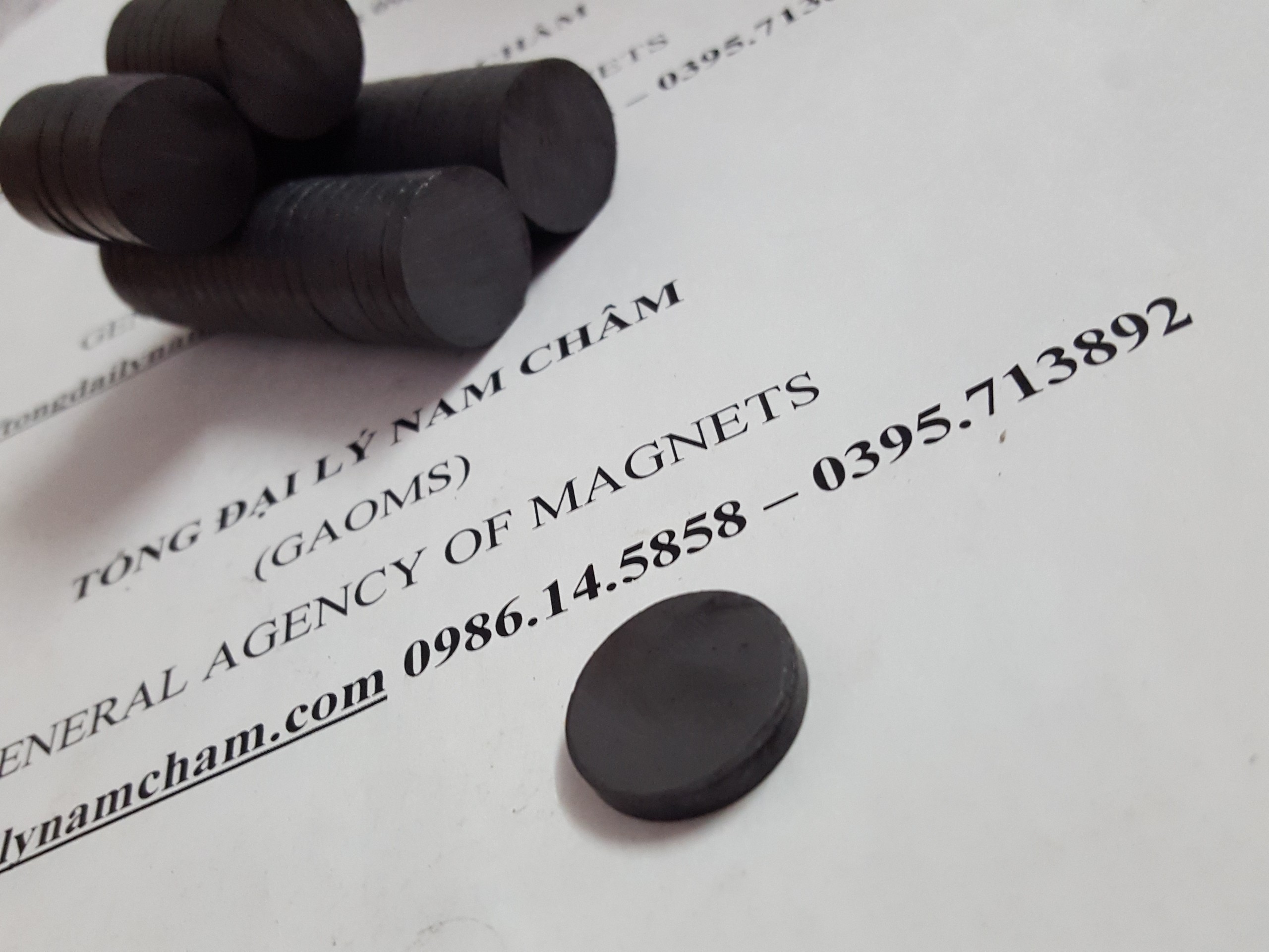 50 viên nam châm đne 20x3mm