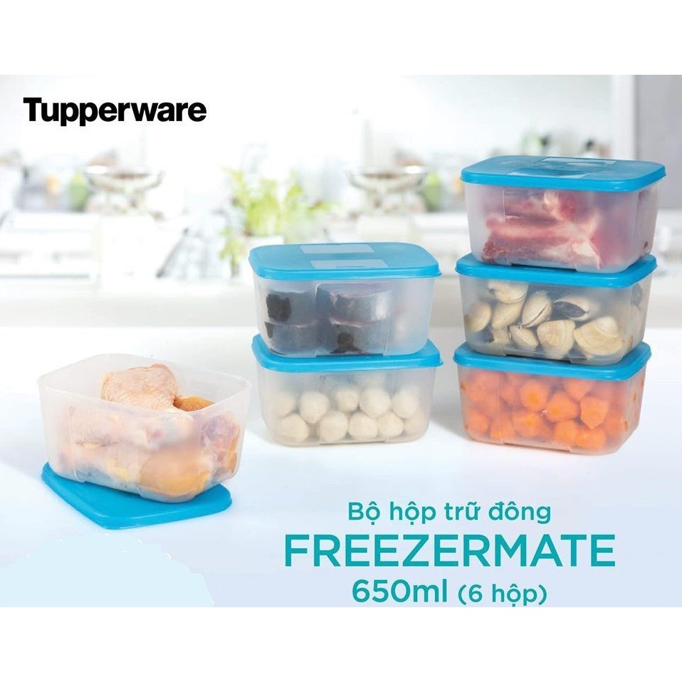 Bộ hộp trữ đông Tupperware Freezermate 650ml (Set 6)