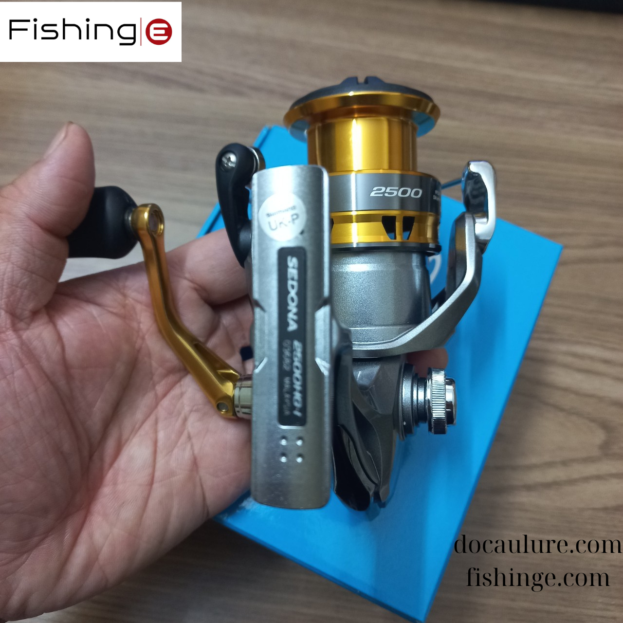 Máy Câu Dọc Shimano SEDONA 2500 3000 [CHÍNH HÃNG]