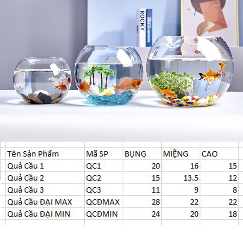 [HCM]Hồ cá mini thủy sinh ???? Bể cá mini để bàn hình QUẢ CẦU