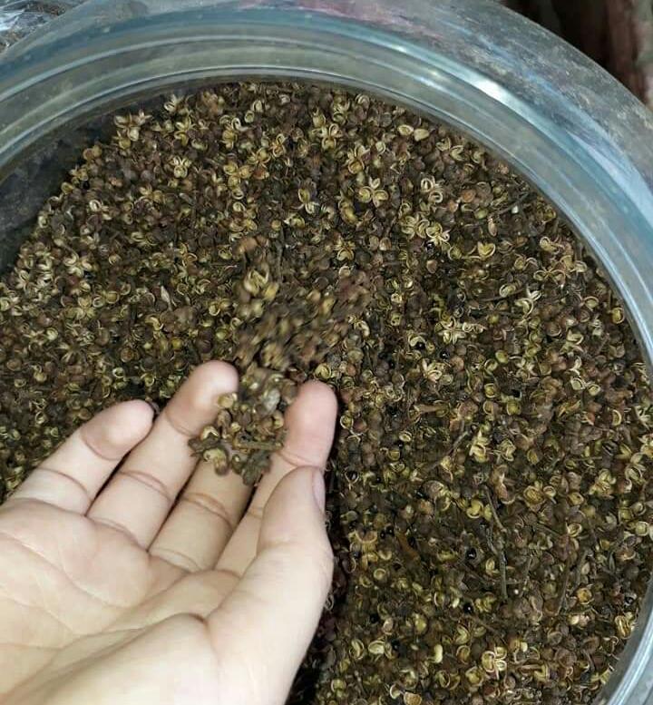 COMBO: 20 HẠT DỔI + 200G MẮC KHÉN