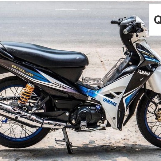 Tem rời Sirius thường trắng xanh đen