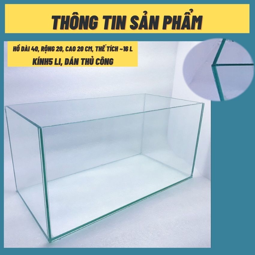 Bể cá mini 40cm COMBO đầy đủ có đèn led siêu dễ thương 3 chế độ sáng