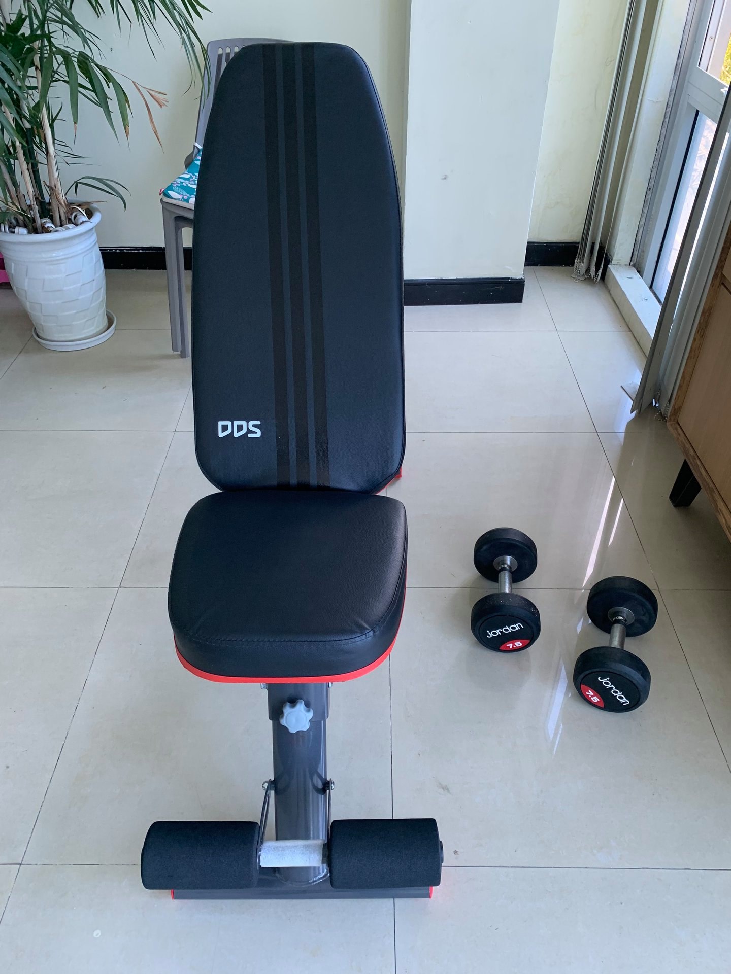 Ghế Tập Bụng Điều Chỉnh DDS-1201