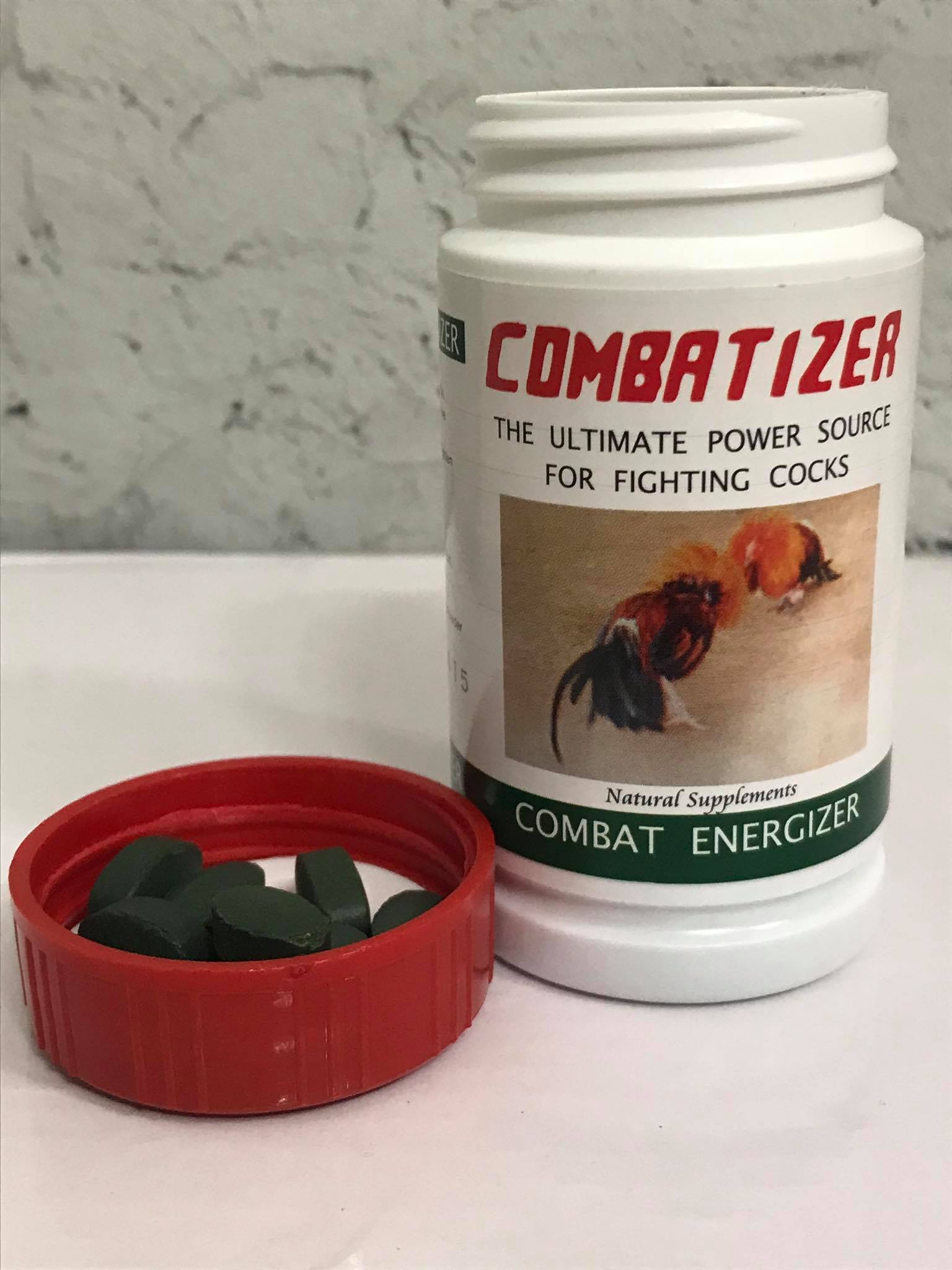 [HCM]Combatizer Nuôi 1 Tuần Cuối Trước Khi Đá