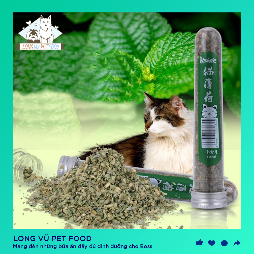 Cỏ Bạc Hà Cho Mèo - CATNIP - Ống 40ml - Giúp mèo thư giãn, tiêu hóa tốt - Long Vũ Pet Food