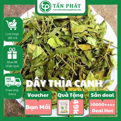 [Túi lớn loại 1kg] Trà dây thìa canh Thảo Dược Tấn Phát - Hàng công ty chất lượng cao chuyên dùng để pha trà cải thiện sức khoẻ - Thích hợp cho người tiểu đường