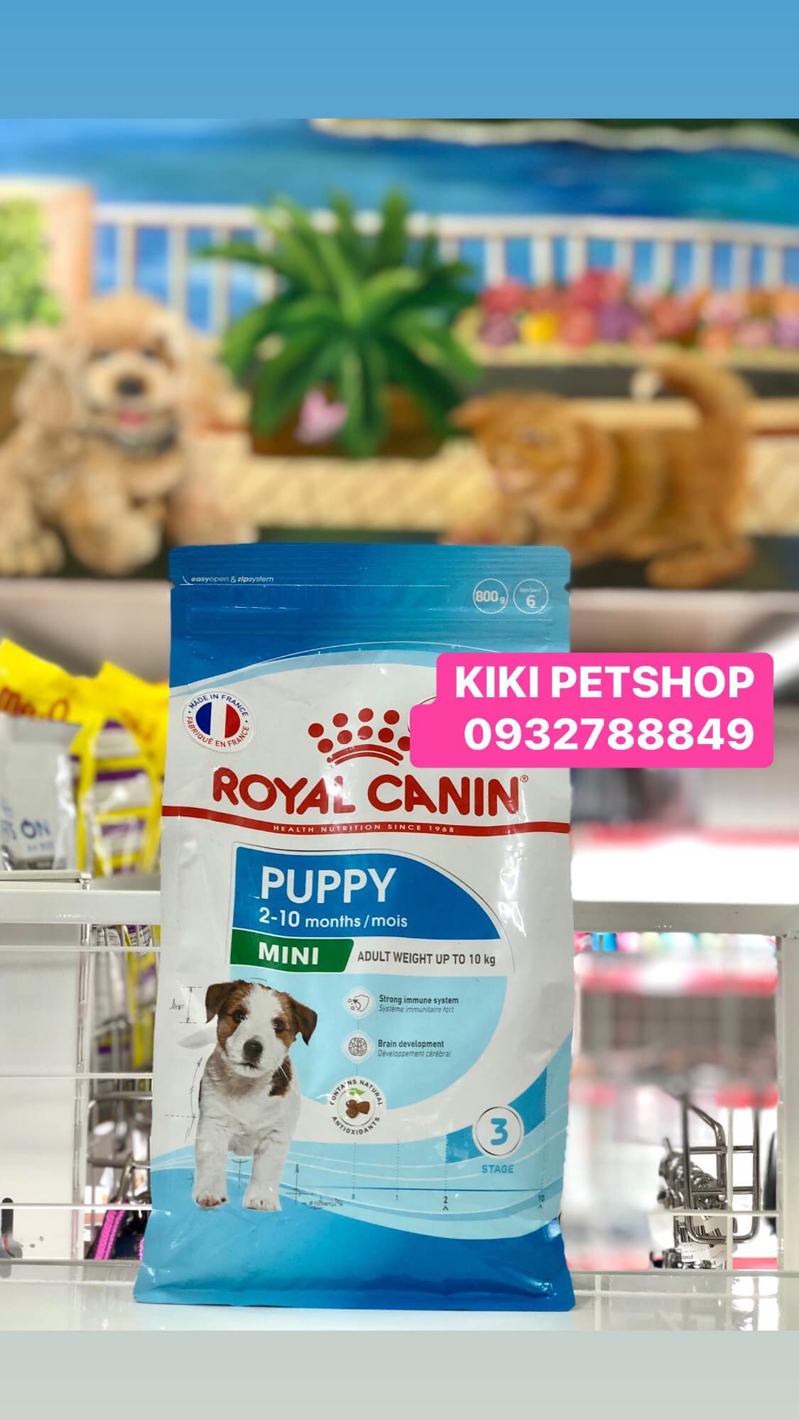 Thức ăn cho chó royal canin mini puppy 800g