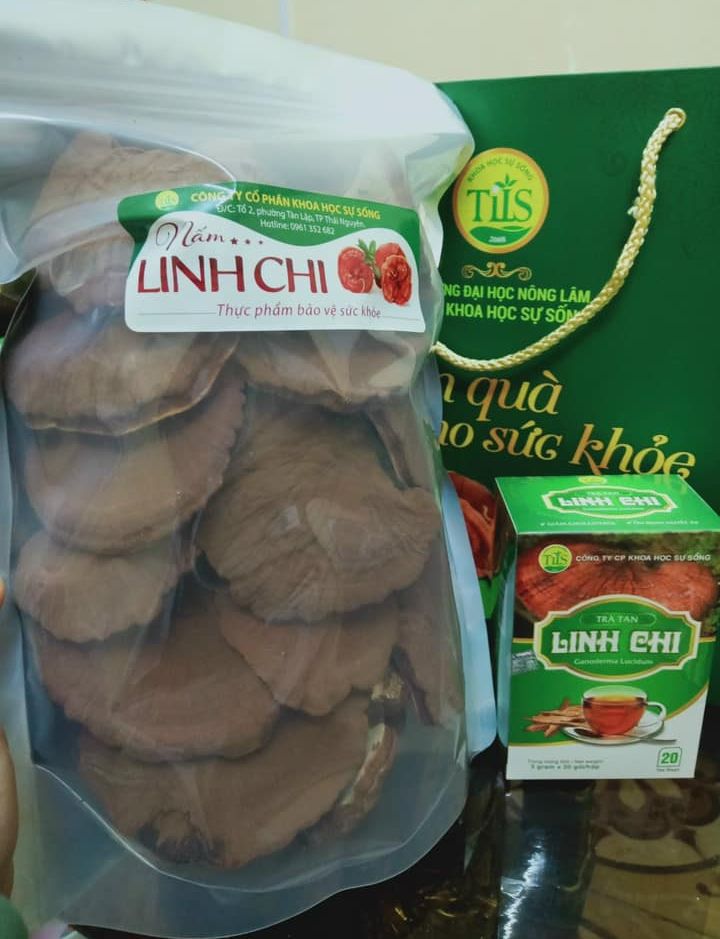 Nấm Linh Chi Đỏ (Hồng Chi Loại Cao Cấp)