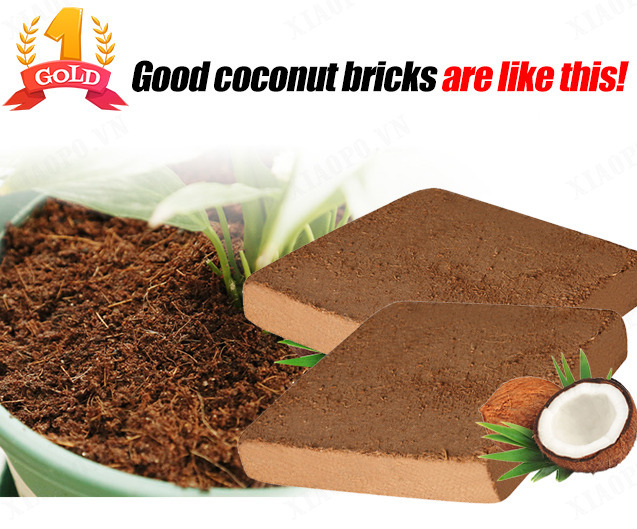 【1/2PCS】Green plant nutrient soil [organic natural coconut brick]