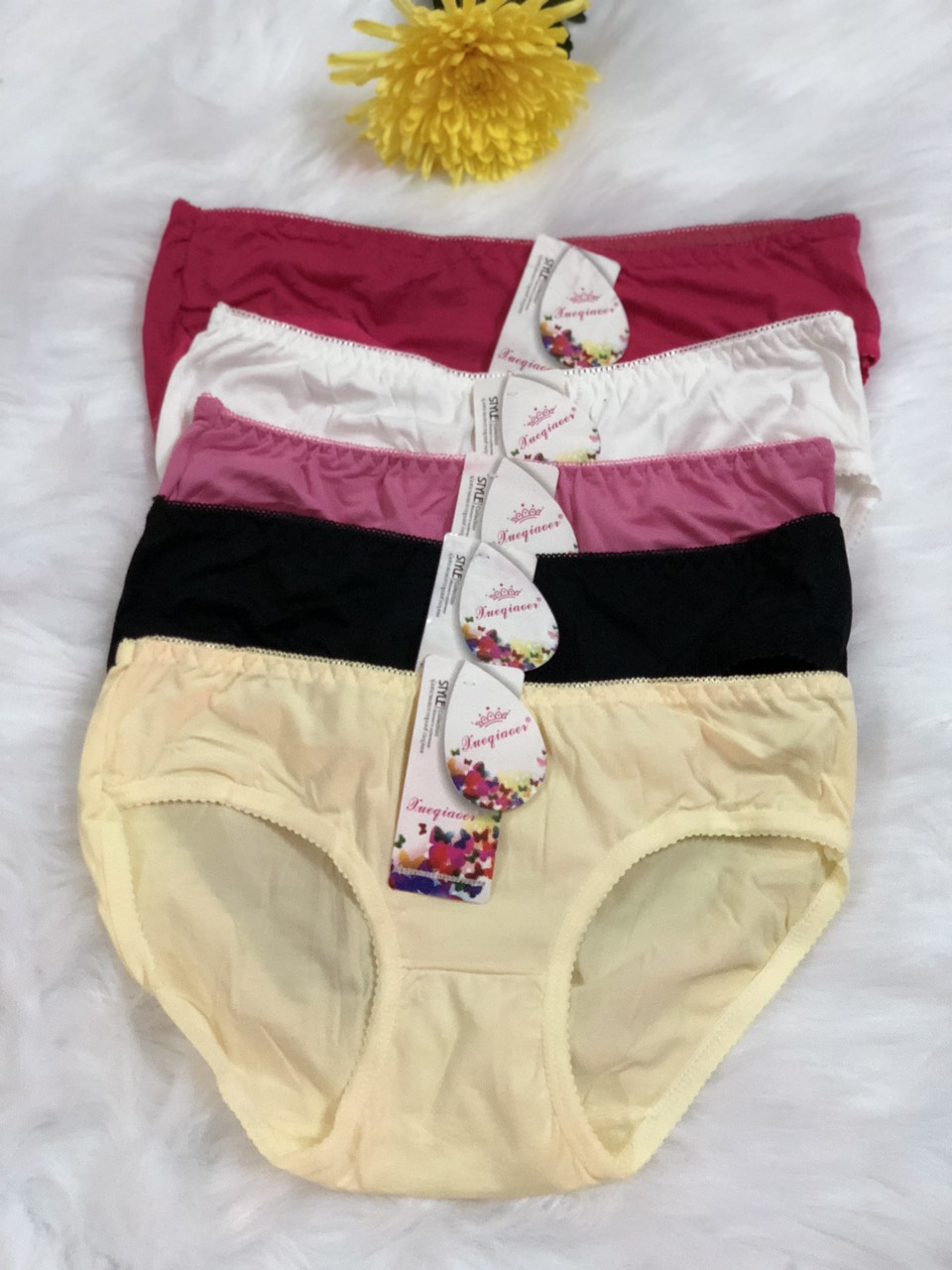Combo 05 Quần lót nữ thu cotton lụa, mềm mịn, co giản, Size 40-53kg