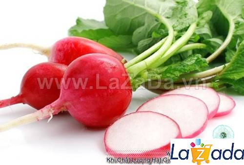 1Gr Hạt Giống Củ Cải Đỏ Cherry (A1.205| G10*W64*M211)