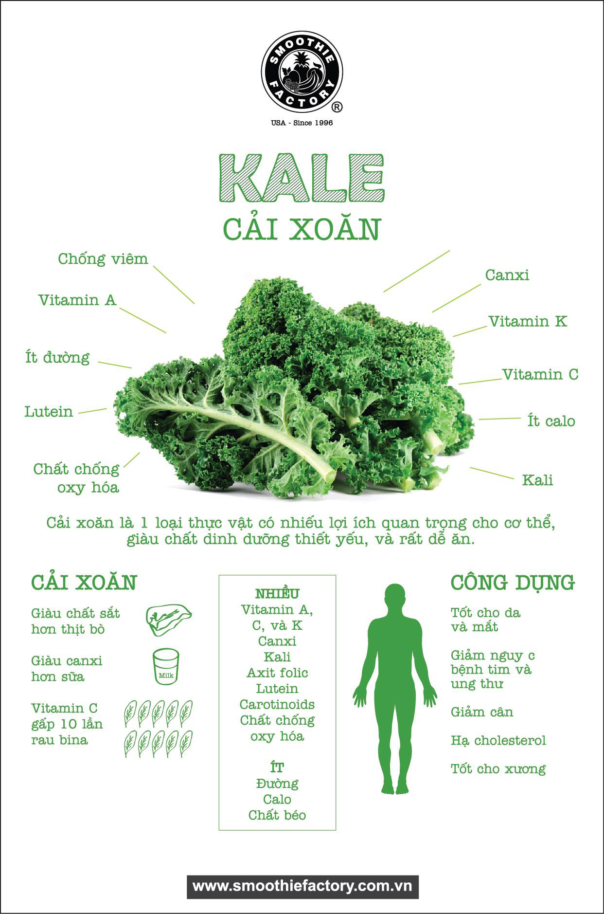 Bột cải xoăn kale Jan's