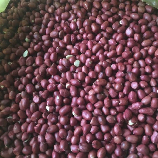 sỉ toàn quốc 1kg hạt lạc đỏ