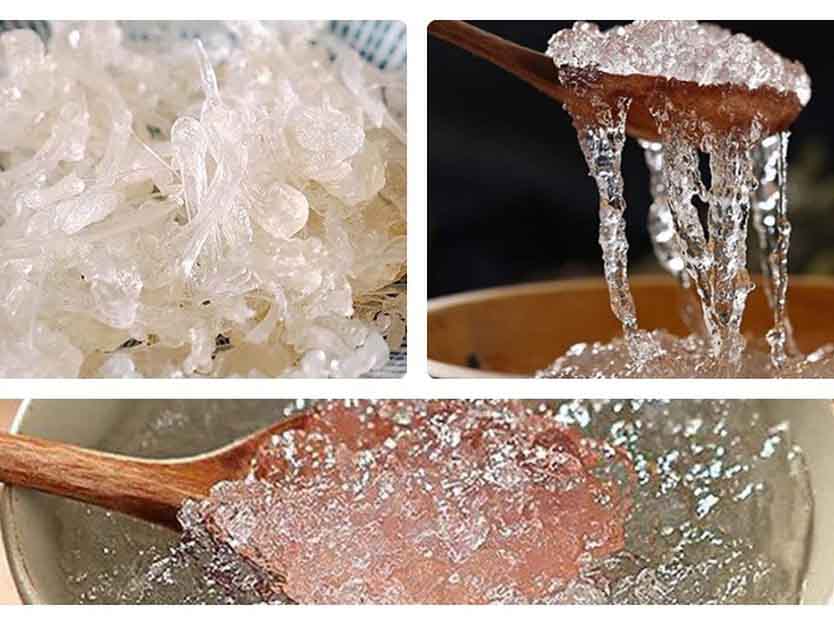 Tuyết Yến Quý Châu (Nở Sợi Dài)