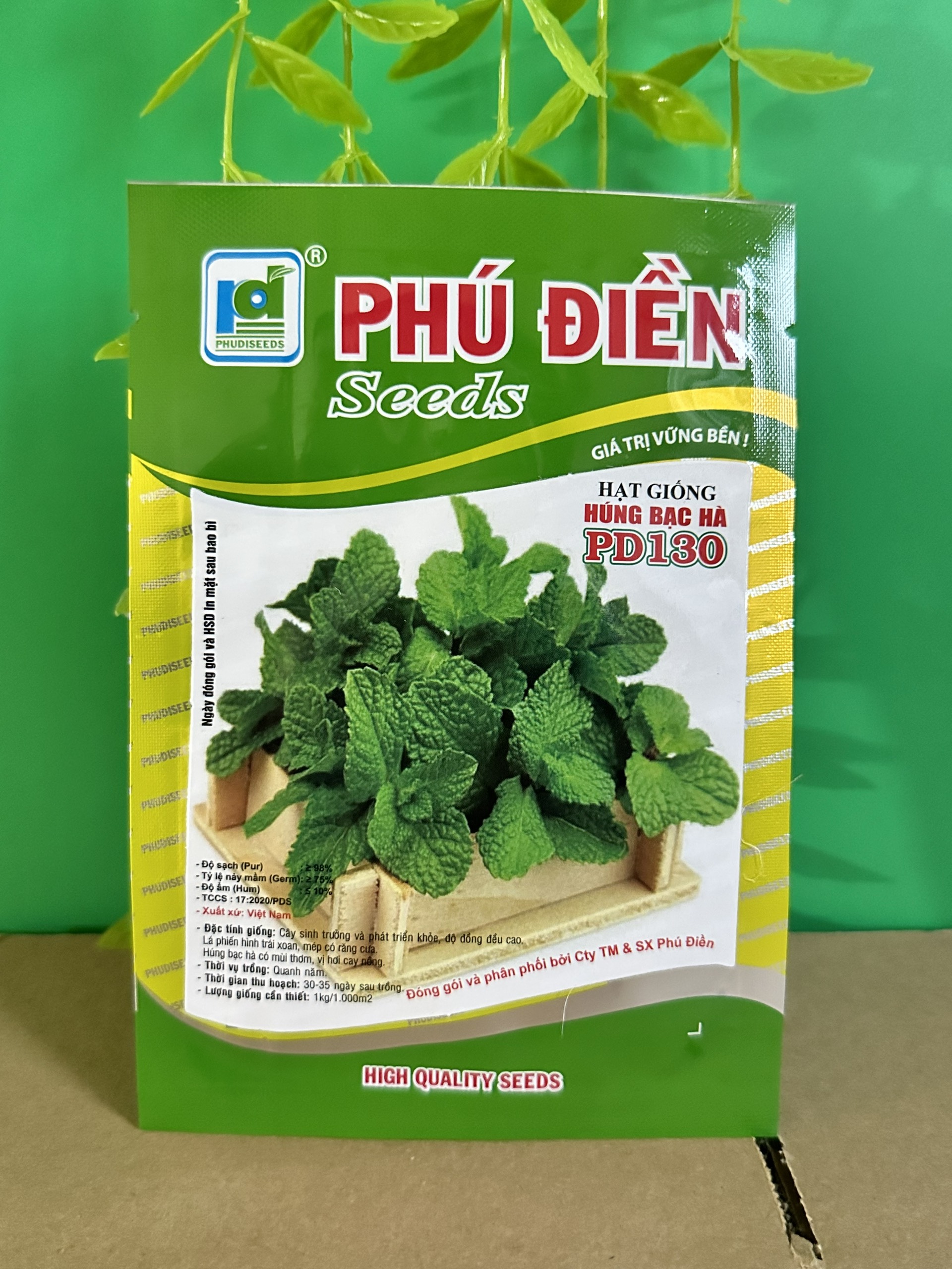 Hạt giống húng bạc hà, húng chó PD130