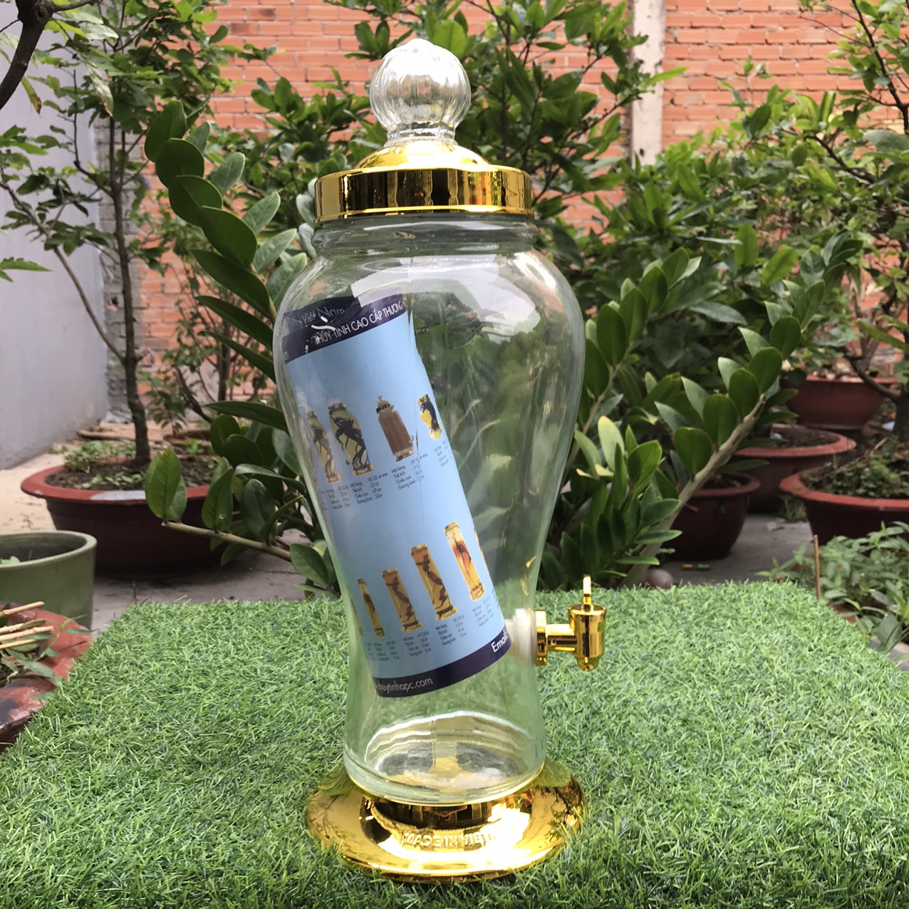 BÌNH NGÂM RƯƠU SÂM THỦY TINH  Phú Hoà 4 LÍT CÓ VAN