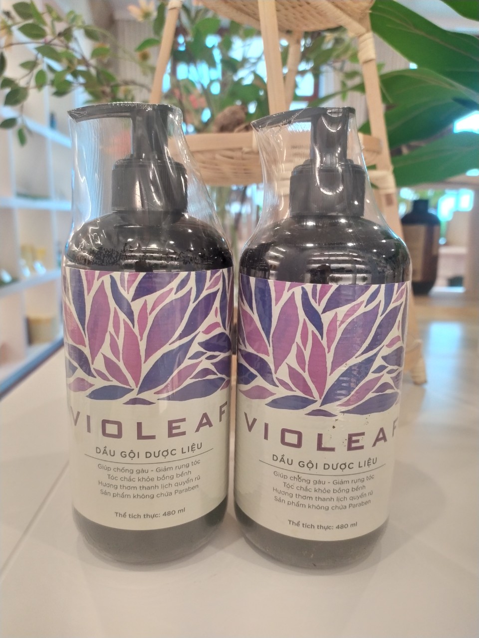 DẦU GỘI DƯỢC LIỆU VIOLEAF (480ML)