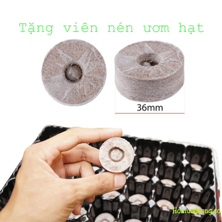 5 Khay Ươm Hạt Dẻo Bền [Tặng Viên Nén Ươm Hạt]