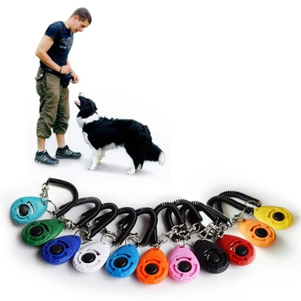 clicker huấn luyện thú cưng