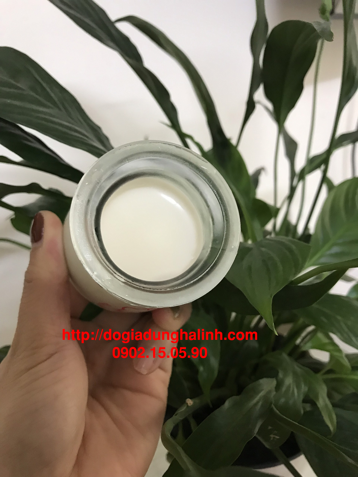 Máy làm sữa chua Chefman CM302T Cốc Thủy Tinh