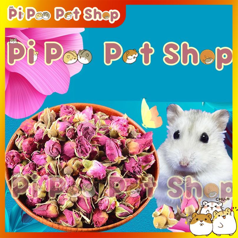 Hoa Hồng Khô cho thú cưng