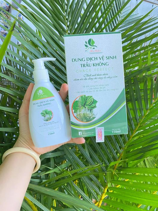 Dung dịch vệ sinh phụ nữ trầu không mẫu mới
