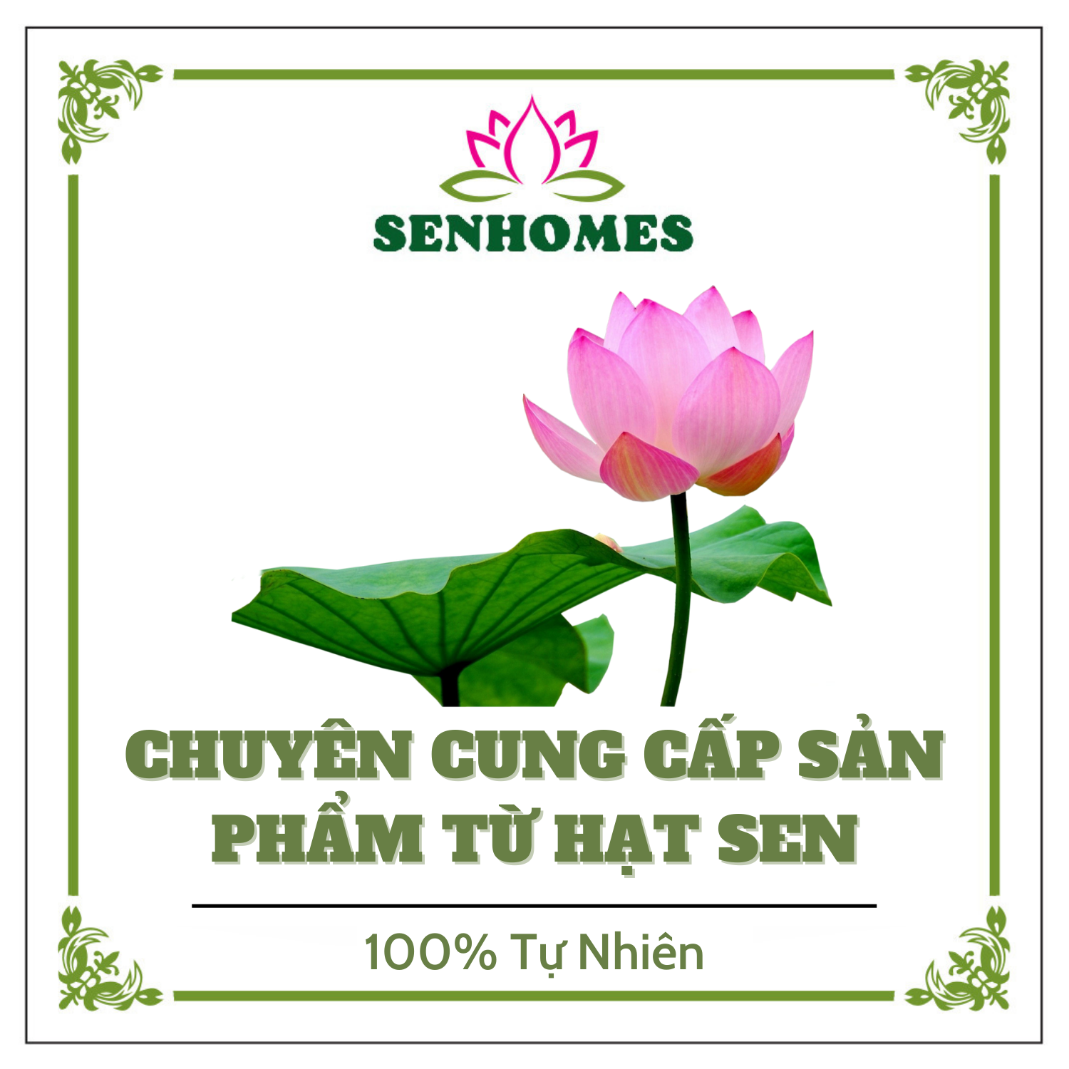 Tâm sen sấy khô SENHOMES 500g
