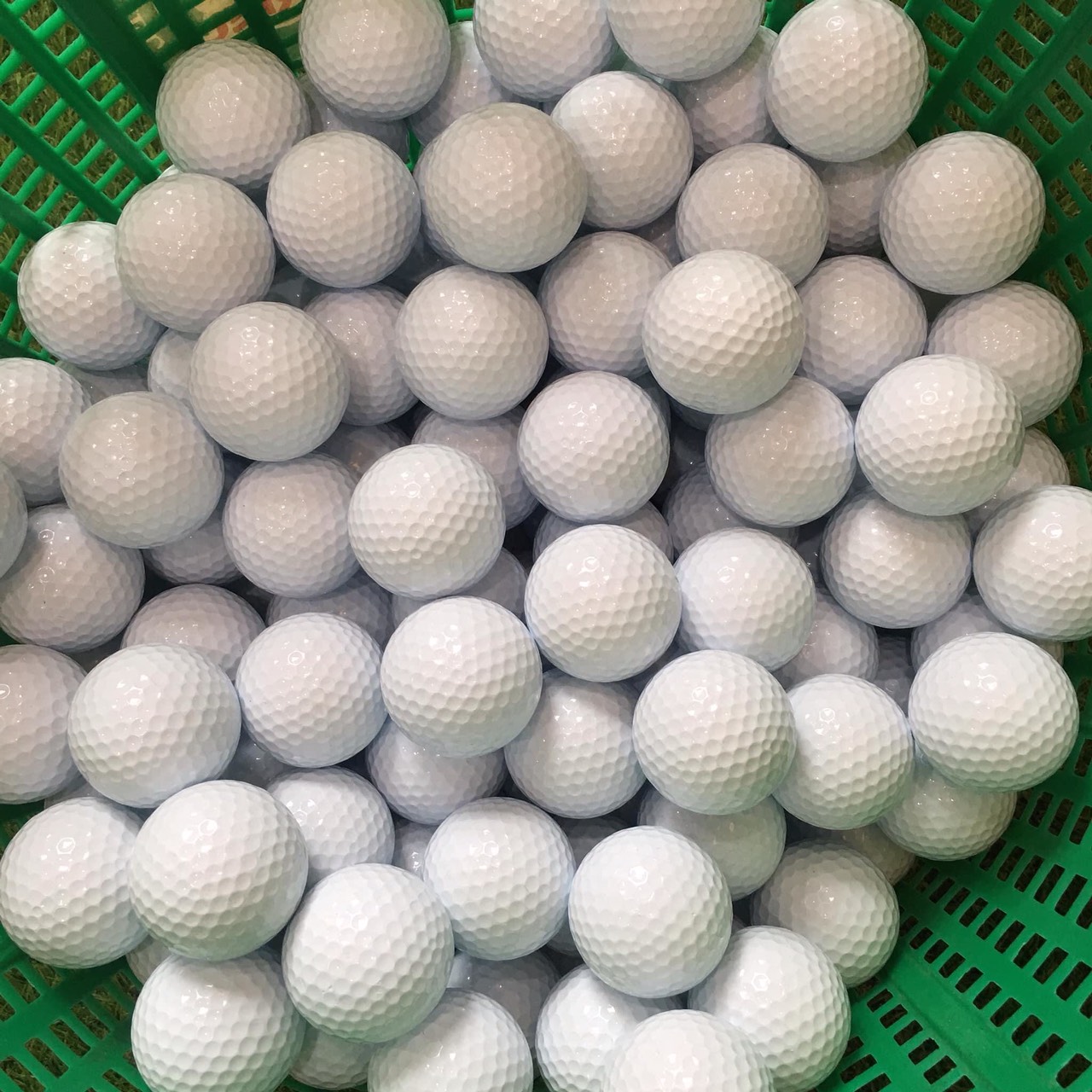 Combo 10 Bóng Golf màu trắng - LOGO PGM ( loại mới và đã s.ử d.ụng)