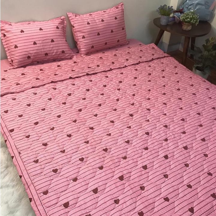 Bộ Ga Gối Cotton Poly 3 Món Mẫu KẺ TIM HỒNG