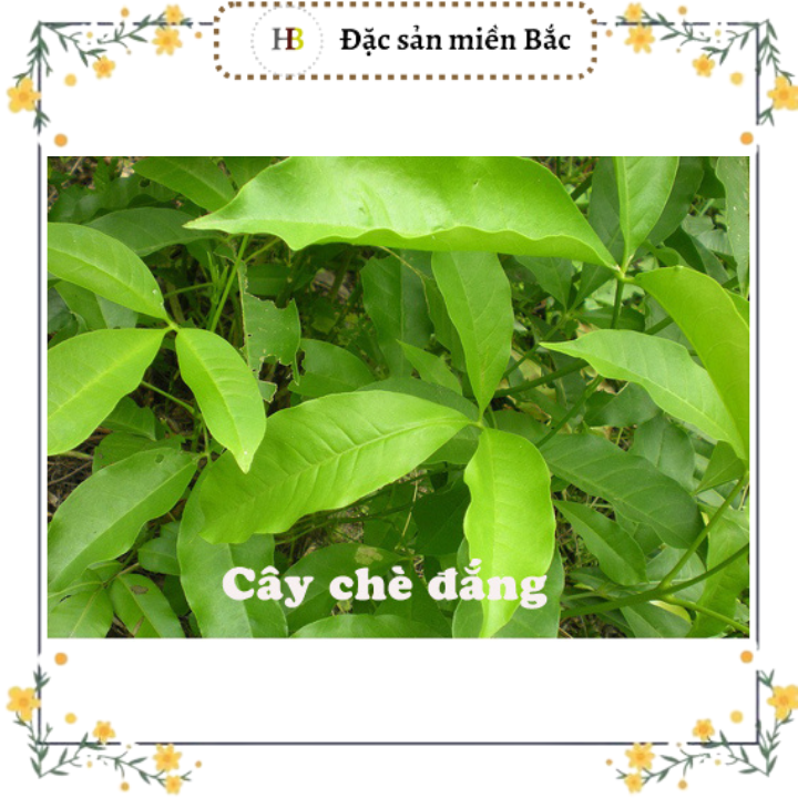 Chè đắng Cao Bằng loại 1 - 500gr