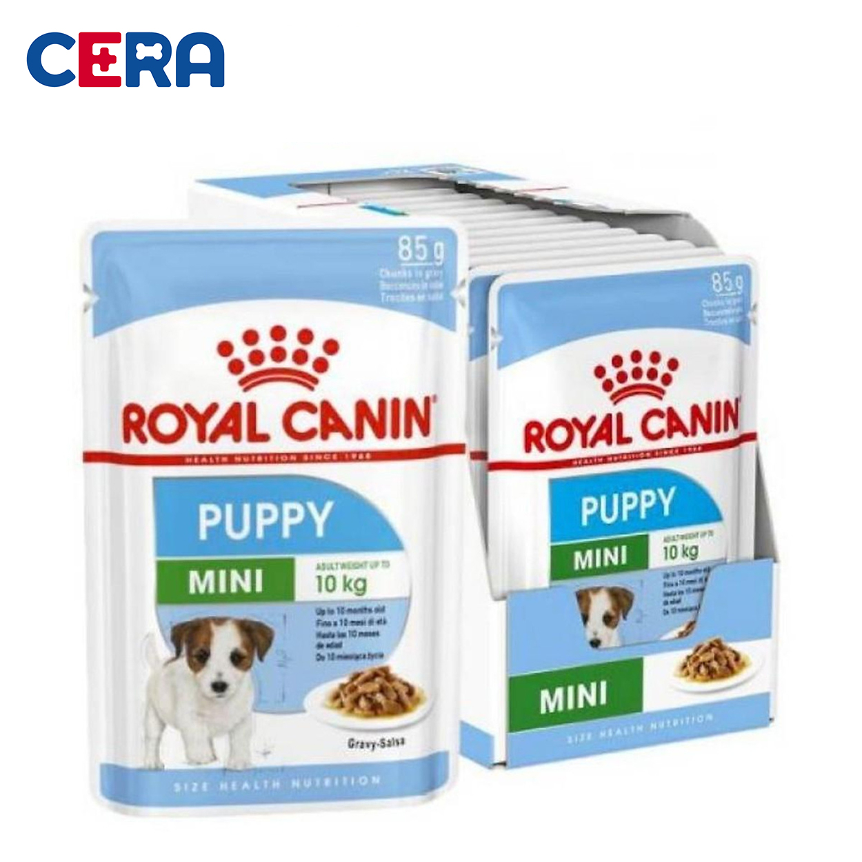 Pate Cho Chó Royal Canin - Mini Puppy 85gr