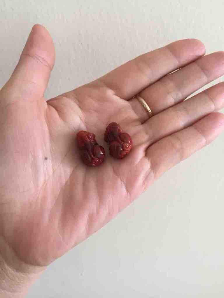 [HCM]Tỳ Hưu Đá Ngọc Huyết