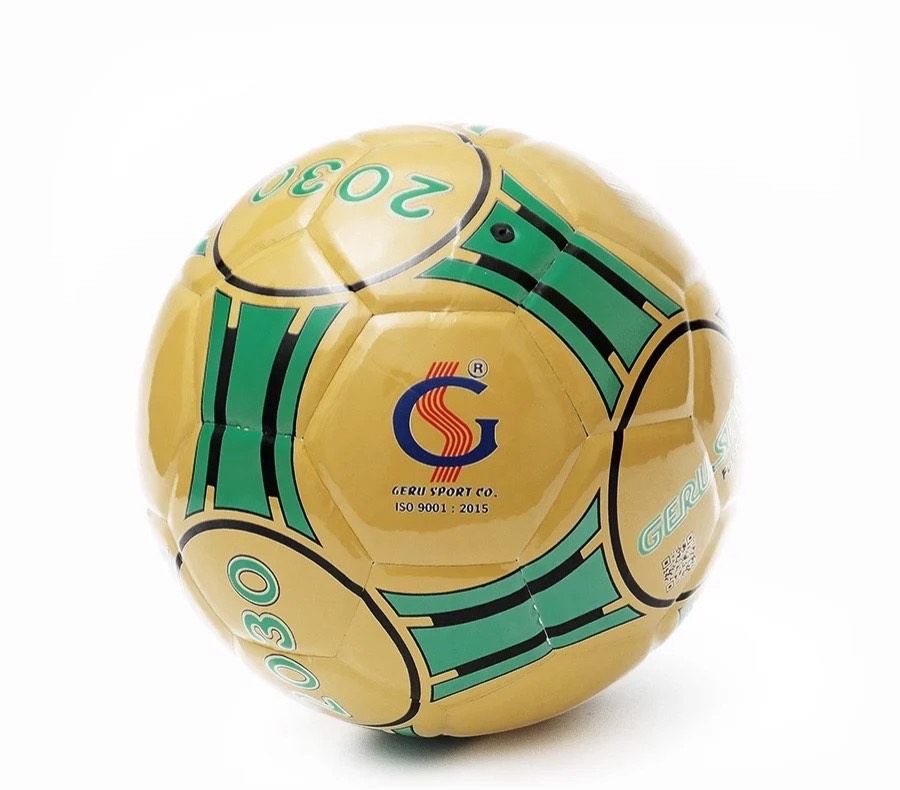 Quả Bóng đá Futsal Geru Sala 2030
