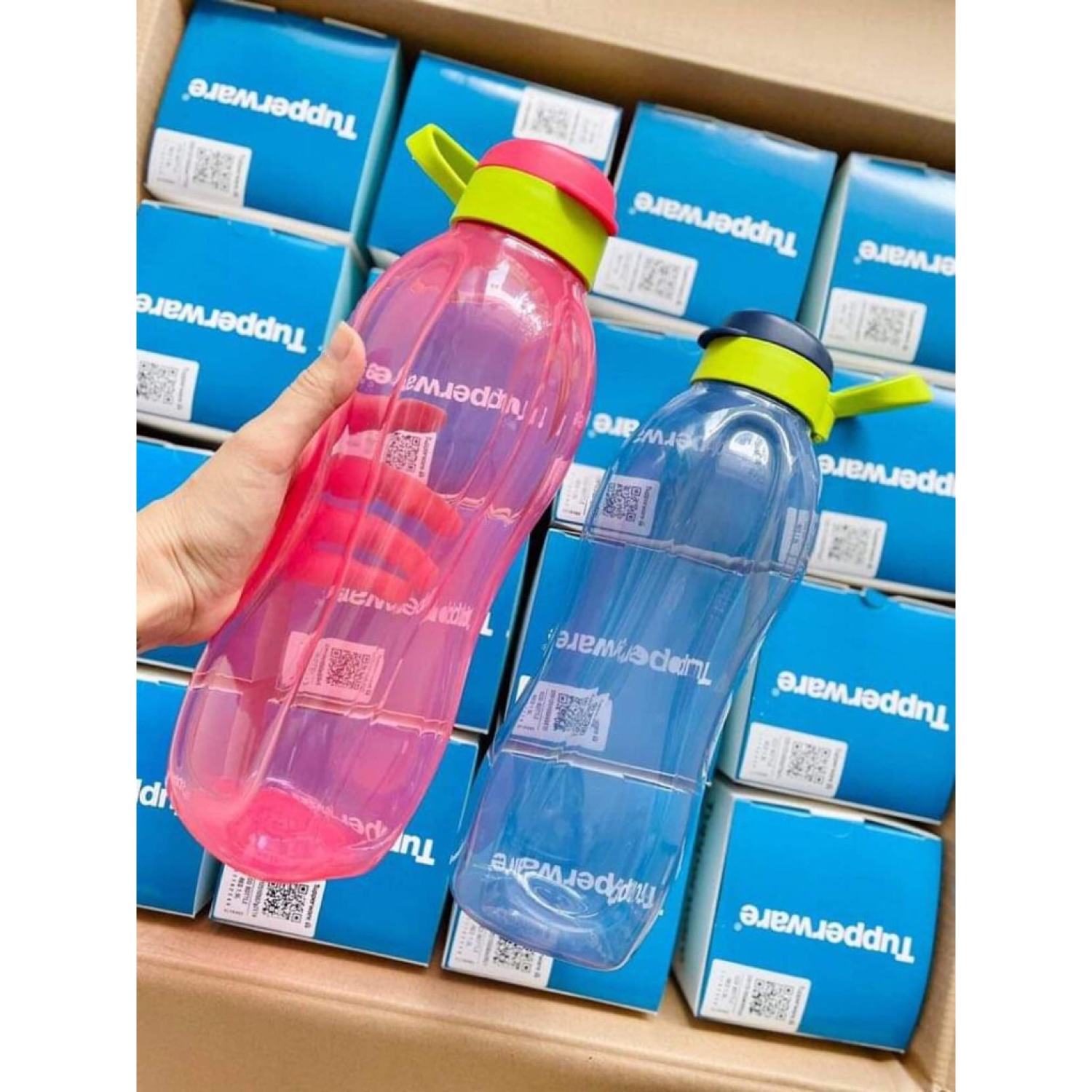 (SIÊU TO) Bình nước Eco bottle 1.5L
