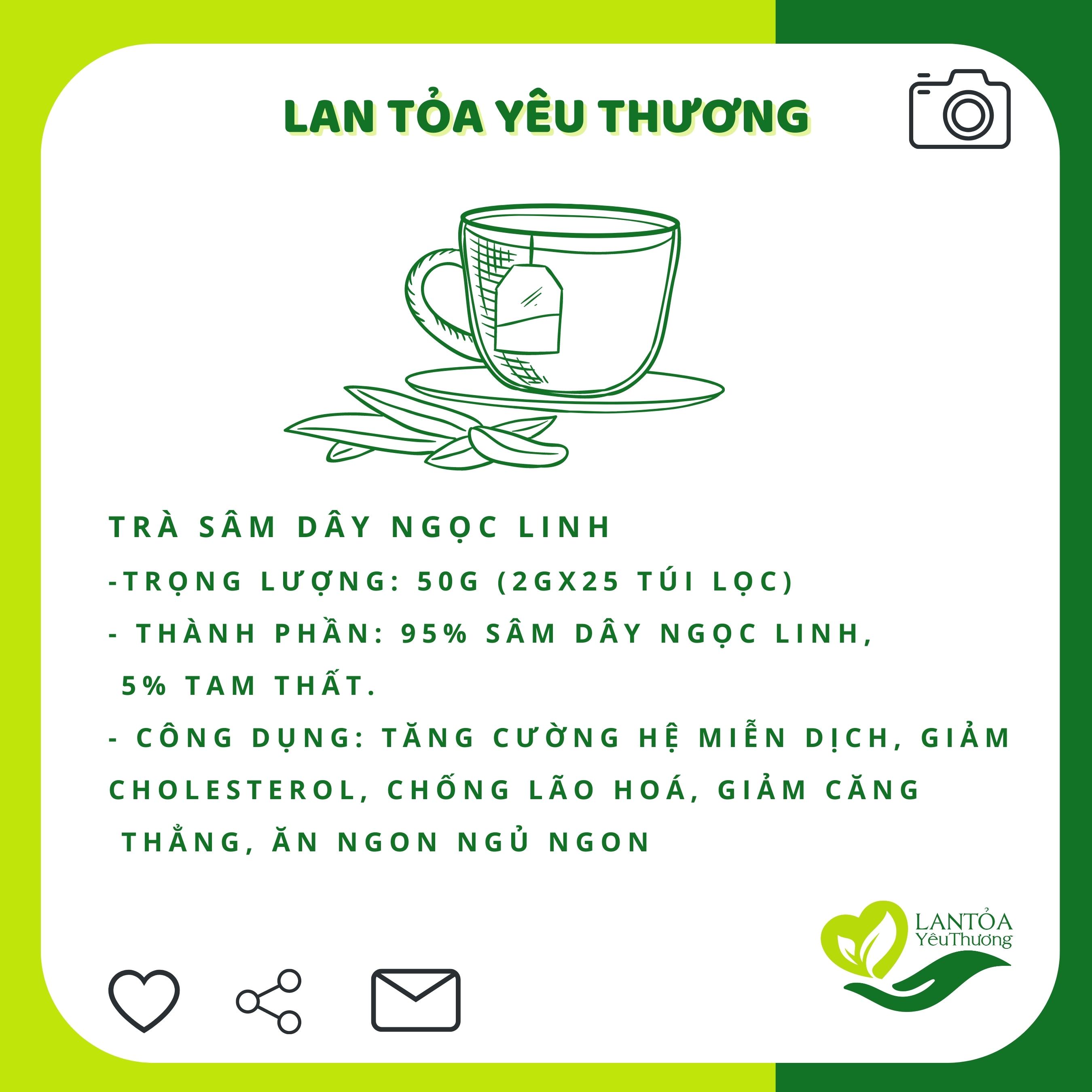 Trà sâm dây Ngọc Linh túi lọc thơm ngon 50g