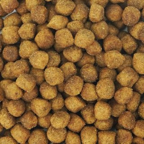 [HỎA TỐC] (1.2kg/300G) ANF Soft - Thức ăn hạt mềm cao cấp cho chó vị gà, cá hồi