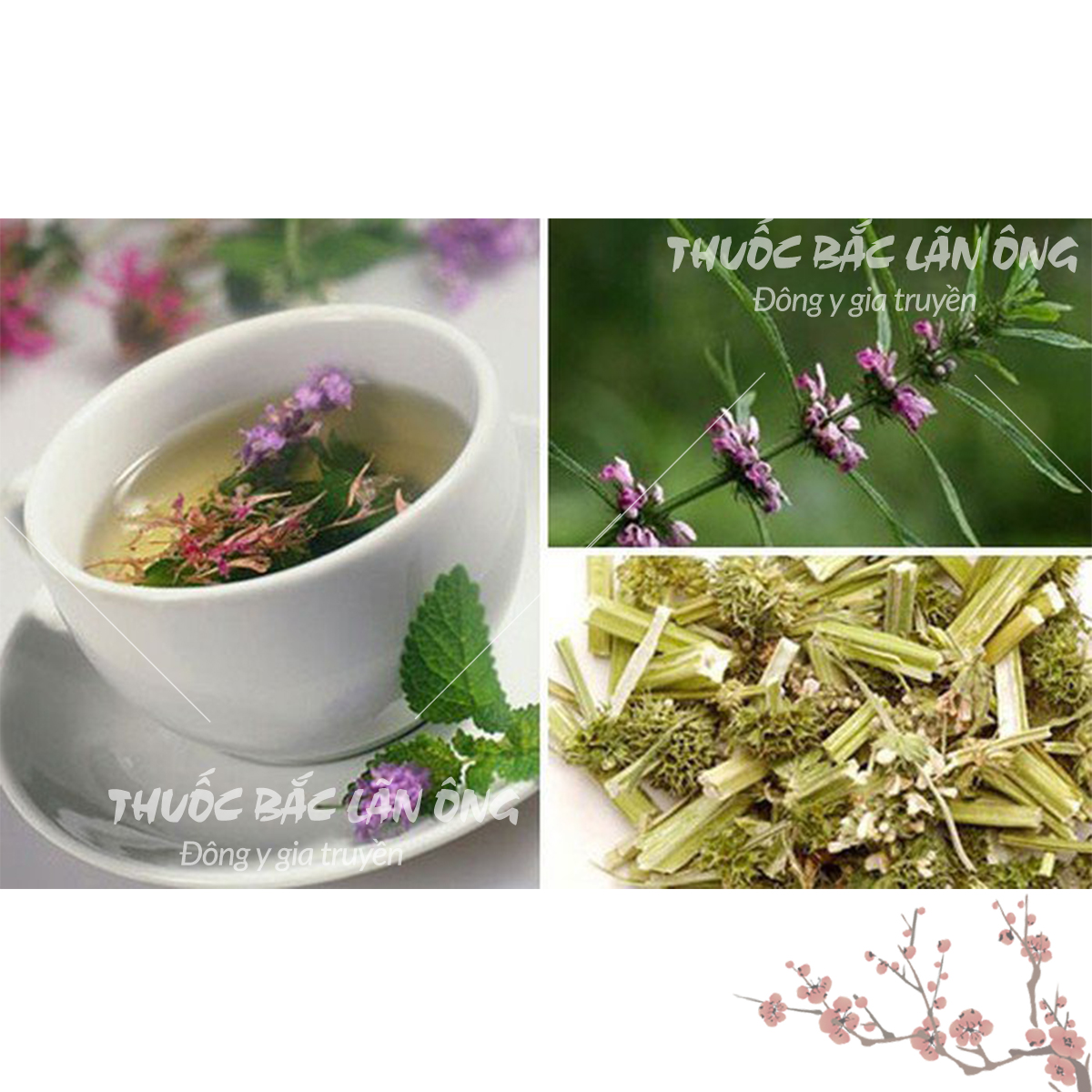 Ích mẫu 1kg, khô, sạch, thơm - Lãn Ông