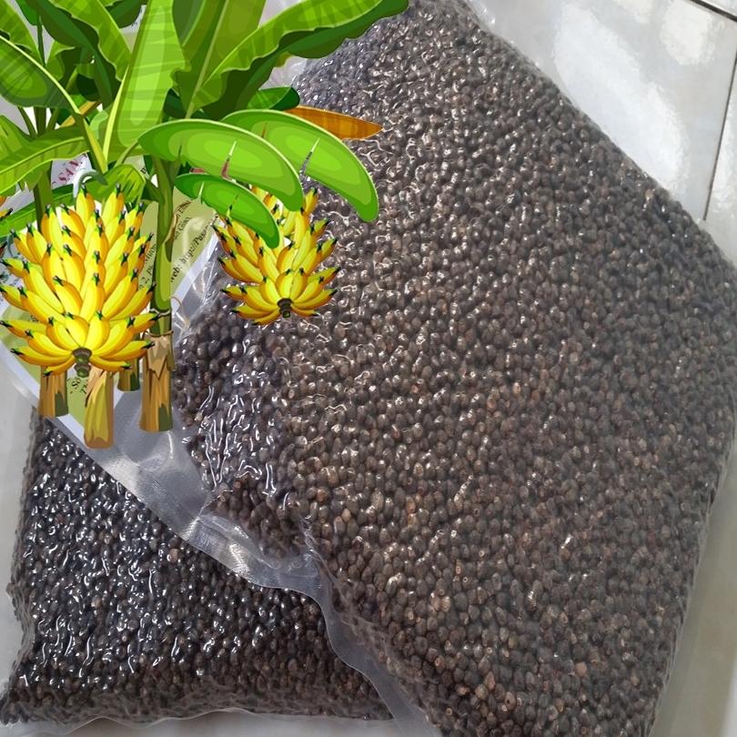 combo 2kg hạt chuối hột rừng