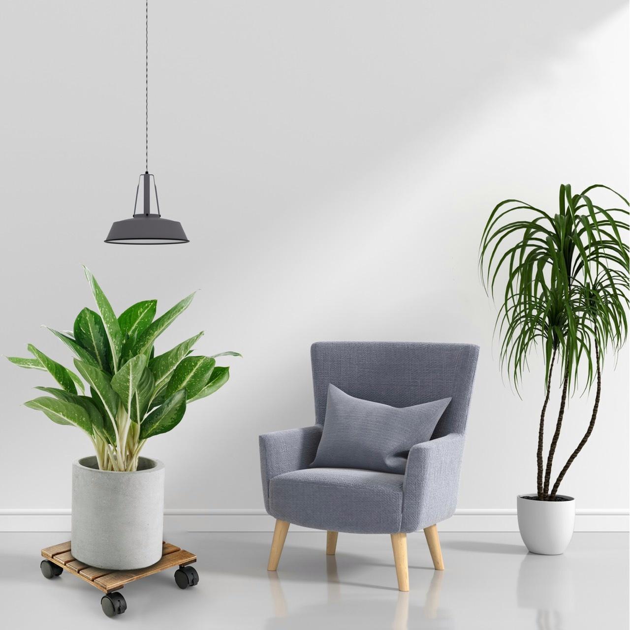 Chân đế để chậu hoa có bánh xe