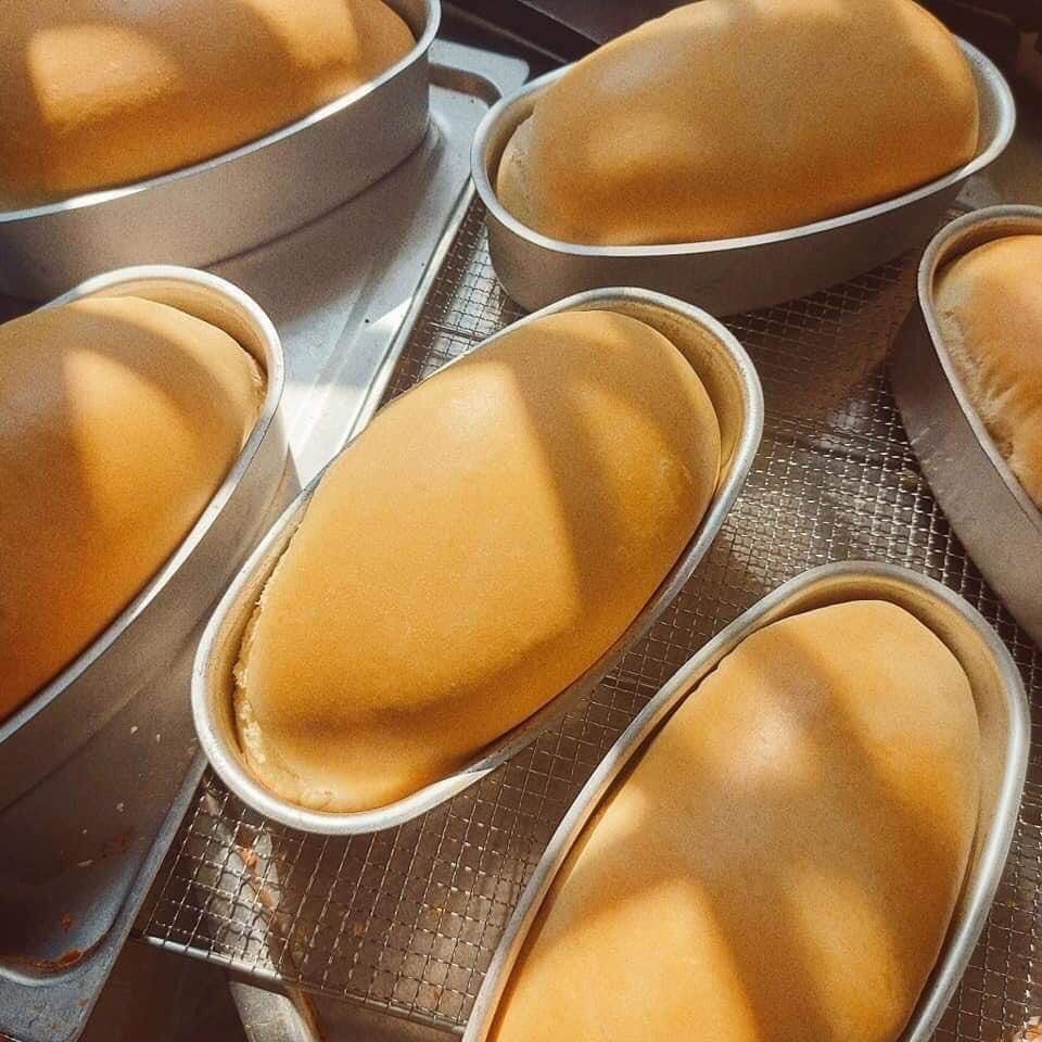 Khuôn loaf đúc hình oval