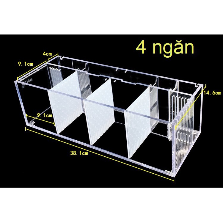 [hot sale]Hộp acrylic nuôi cá chọi betta 4 ngăn trong suốt