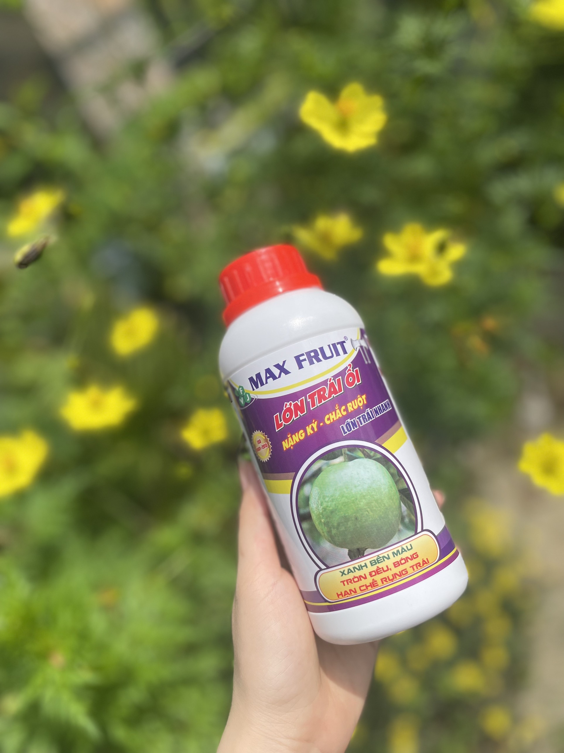[MUA 5 TẶNG 1] Phân bón Lớn Trái ổi 500ml