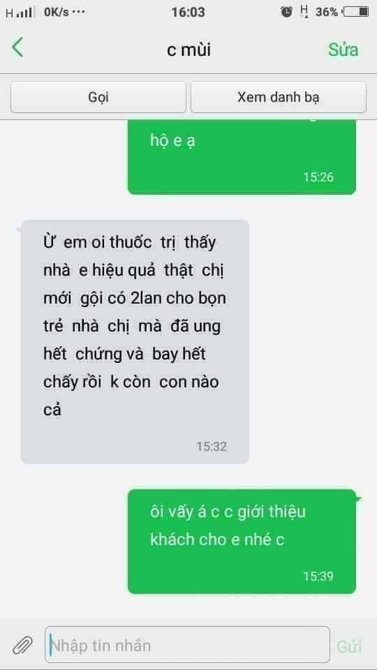 Dầu gội loại bỏ  chấy Chị Tấm